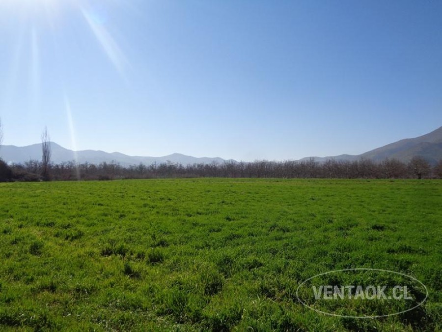 Terreno en venta en Talagante — foto 1