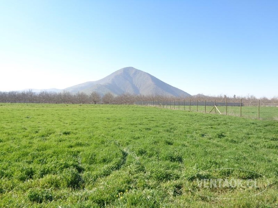 Terreno en venta en Talagante — foto 2