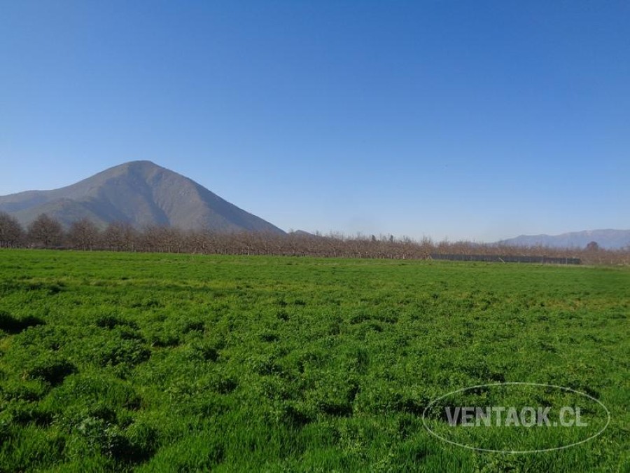 Terreno en venta en Talagante — foto 4