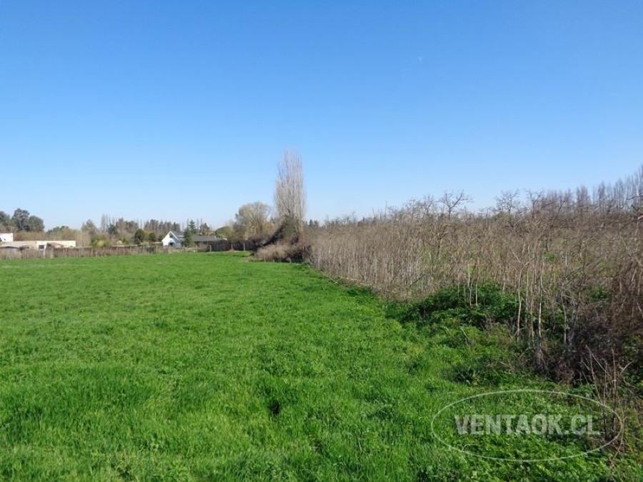 Terreno en venta en Talagante — foto 8