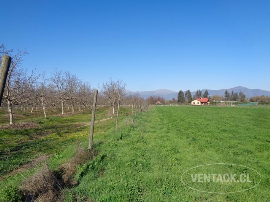 Terreno en venta en Talagante — foto 9