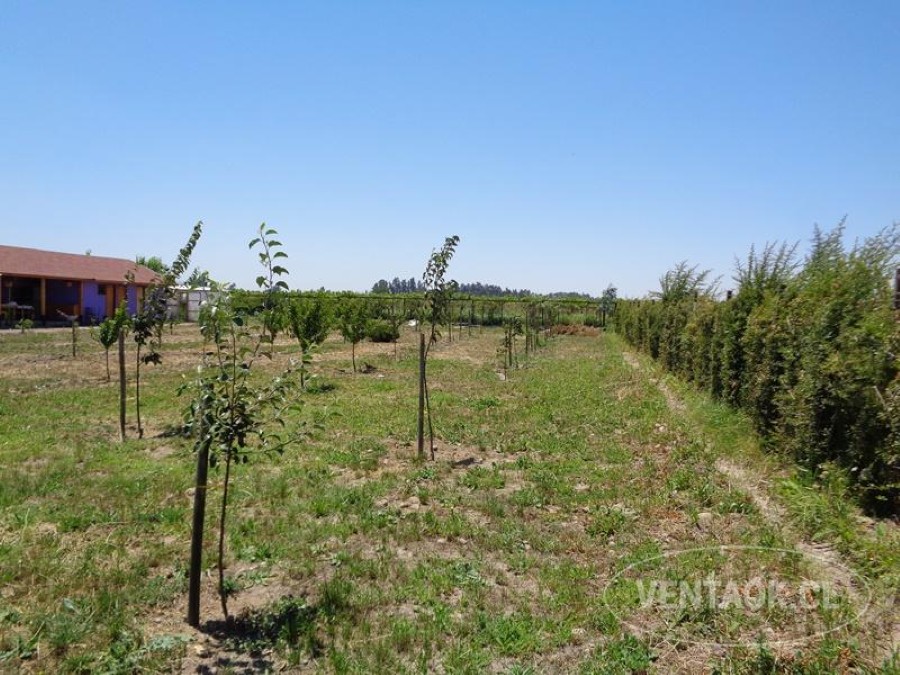 Casa en venta en Talagante — foto 5