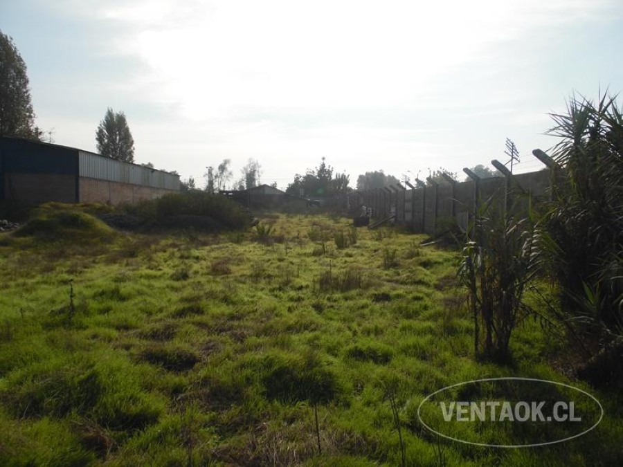 Local comercial en arriendo en Peñaflor — foto 6