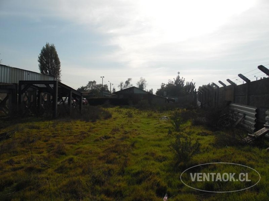 Local comercial en arriendo en Peñaflor — foto 8