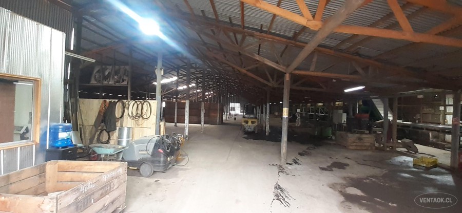 Bodega en arriendo en Paine — foto 10