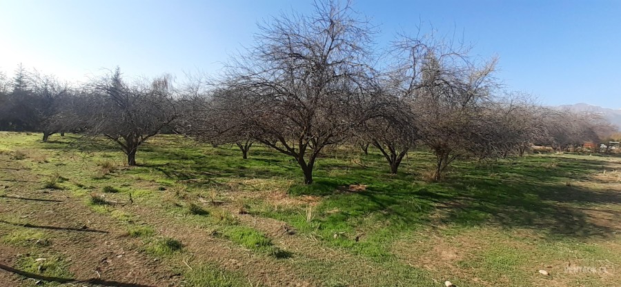 Parcela en venta en Pirque — foto 6