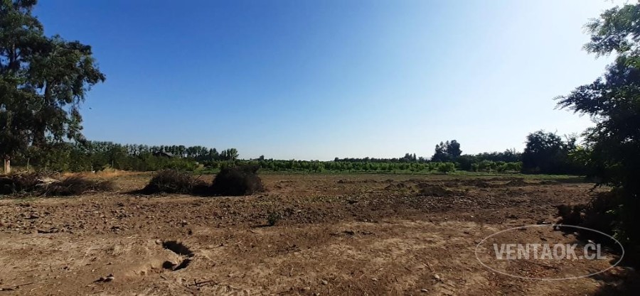 Parcela en venta en Peñaflor — foto 6
