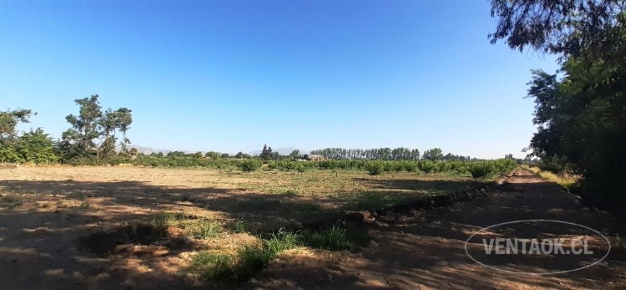 Parcela en venta en Peñaflor — foto 7