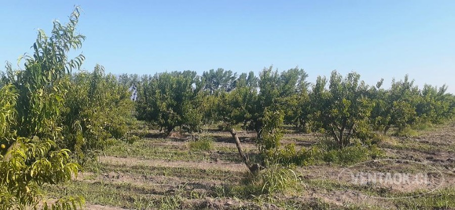 Parcela en venta en Peñaflor — foto 10