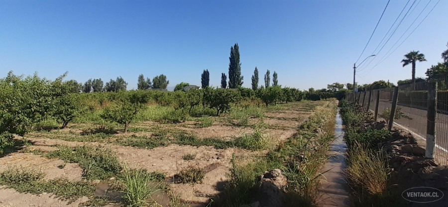 Parcela en venta en Peñaflor — foto 1