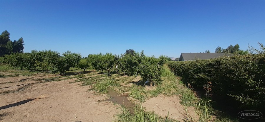 Parcela en venta en Peñaflor — foto 4