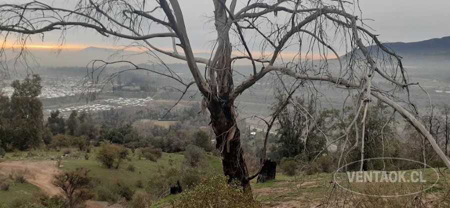 Parcela en venta en Pirque — foto 1