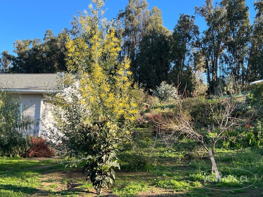 Casa en venta en Limache — foto 4