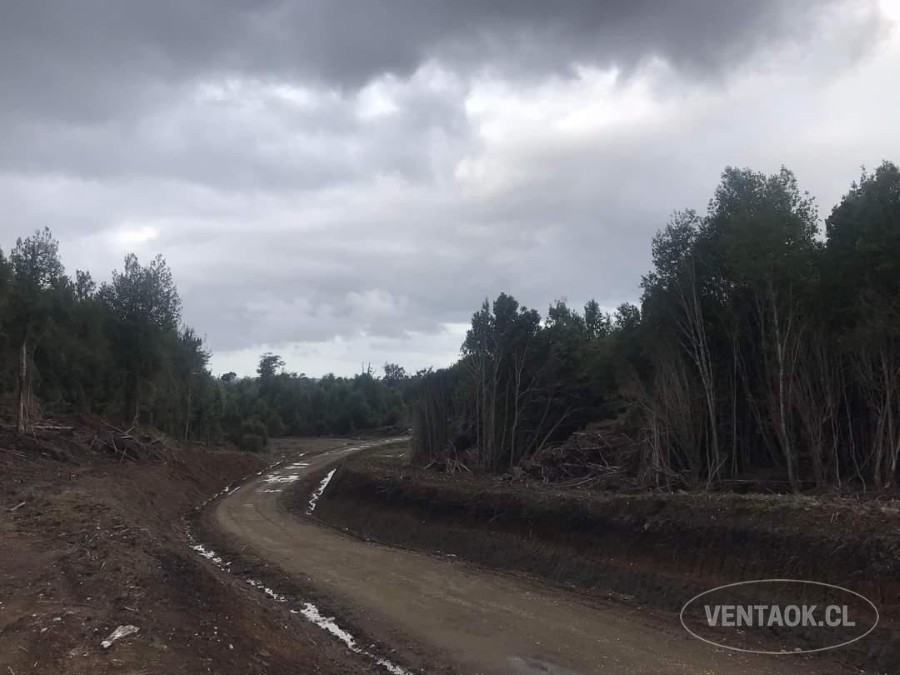 Parcela en venta en Ancud — foto 1