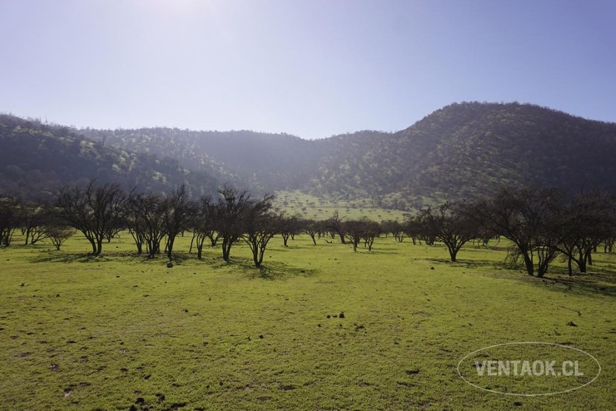 Campo en venta en Pirque — foto 4