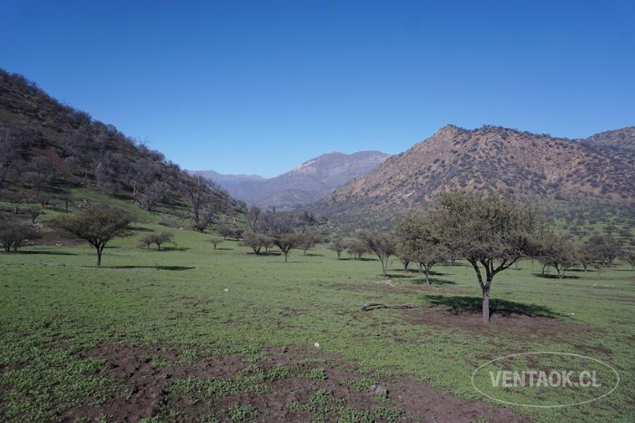Campo en venta en Pirque — foto 5