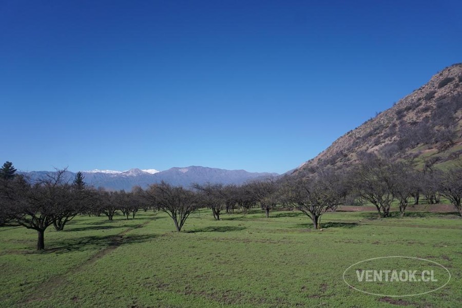 Campo en venta en Pirque — foto 6