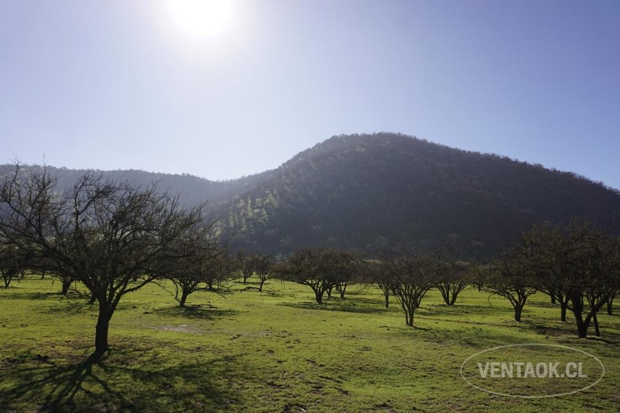 Campo en venta en Pirque — foto 7