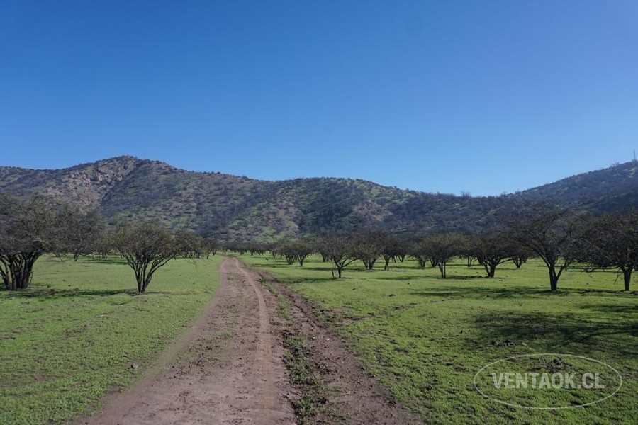 Campo en venta en Pirque — foto 8