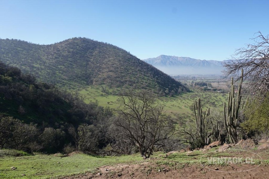 Campo en venta en Pirque — foto 10