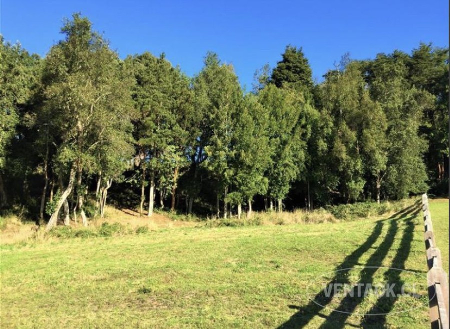 Parcela en venta en Puerto Varas — foto 8