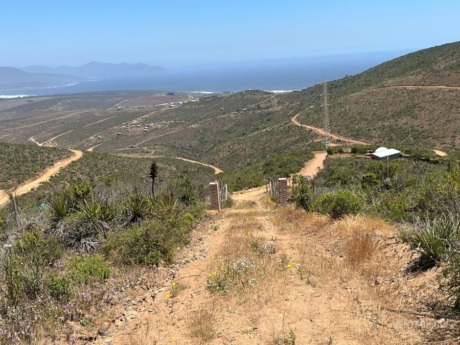 Parcela en venta en La Ligua — foto 3
