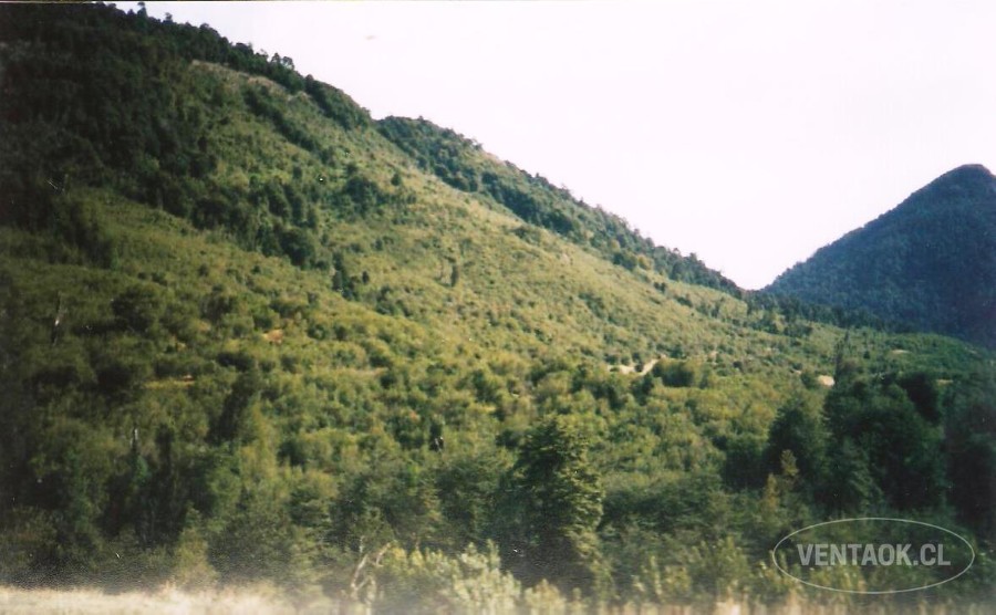 Campo en venta en Futrono — foto 5