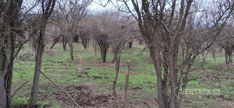 Parcela en venta en Melipilla — foto 2