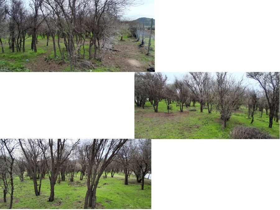 Parcela en venta en Melipilla — foto 3