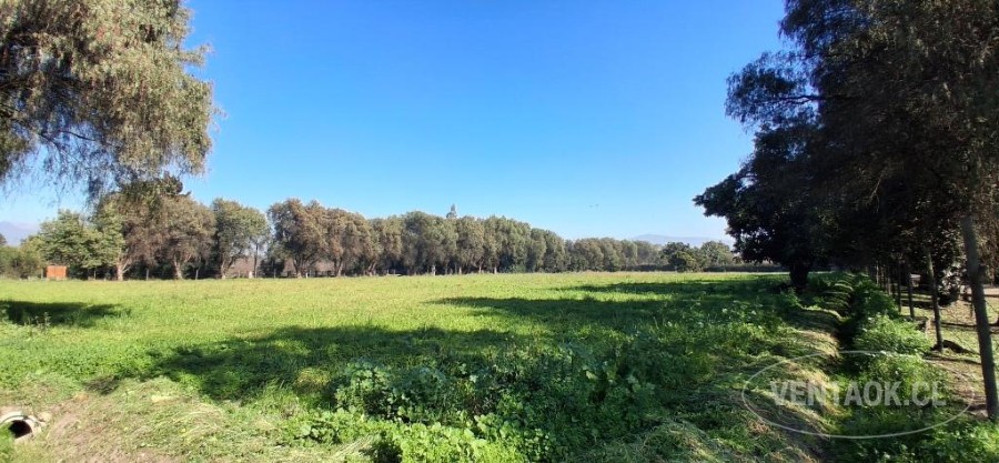 Parcela en venta en Talagante — foto 3