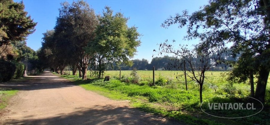 Parcela en venta en Talagante — foto 6