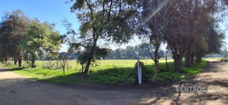 Parcela en venta en Talagante — foto 7