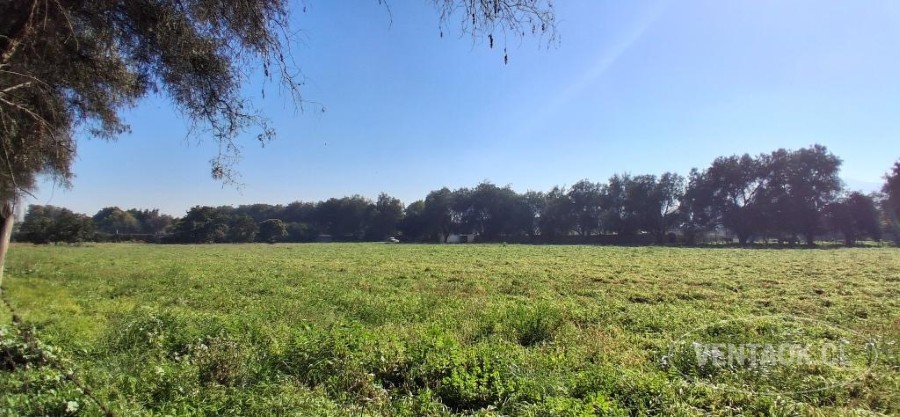 Parcela en venta en Talagante — foto 8