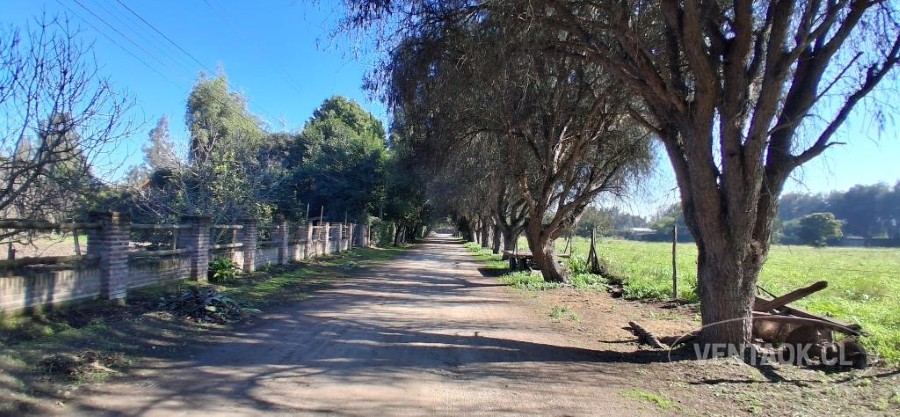 Parcela en venta en Talagante — foto 10