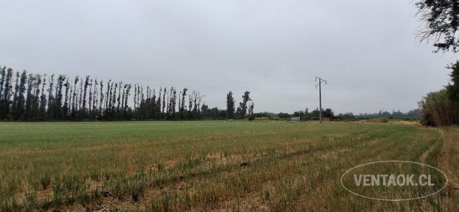 Parcela en venta en Talagante — foto 3