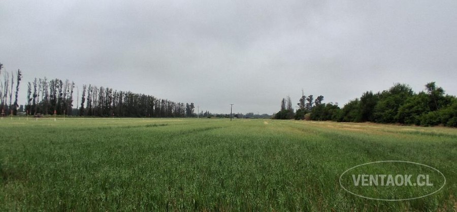 Parcela en venta en Talagante — foto 8