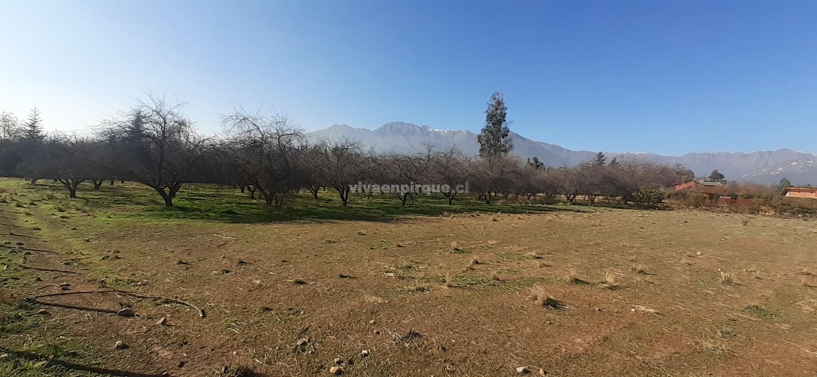 Parcela en venta en Pirque — foto 4