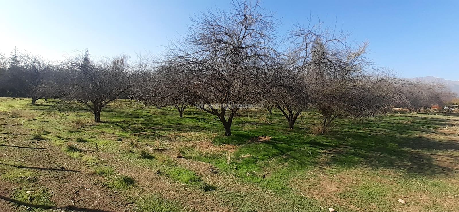 Parcela en venta en Pirque — foto 7
