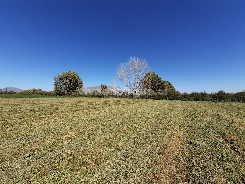 Parcela en venta en Pirque — foto 5