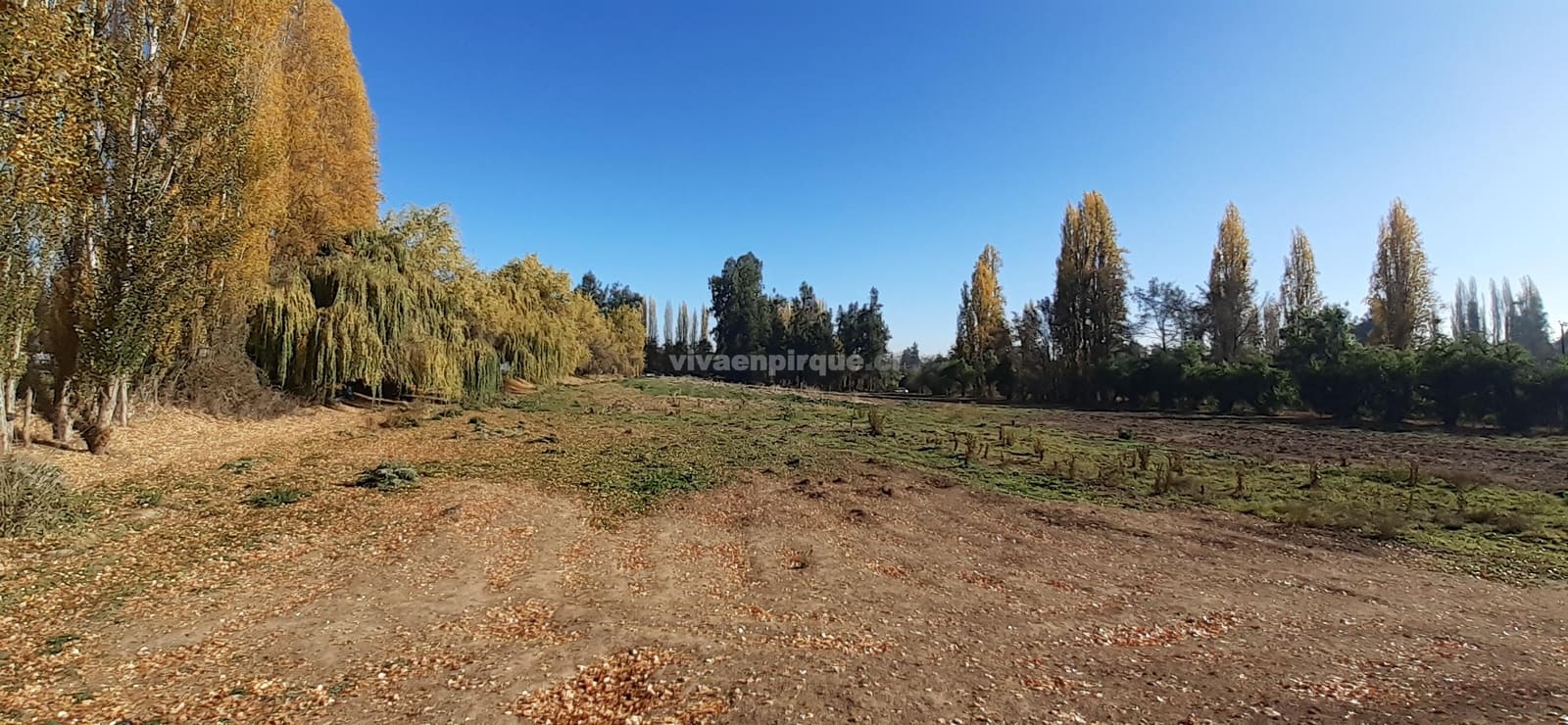 Casa en venta en Pirque — foto 10