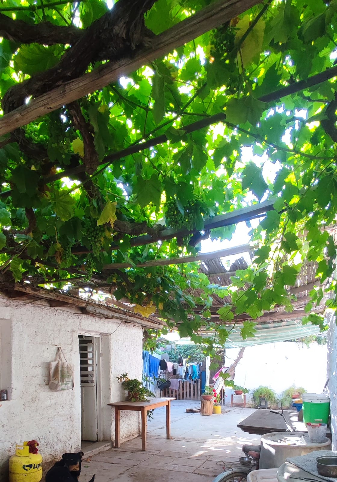 Casa en venta en Copiapó — foto 2