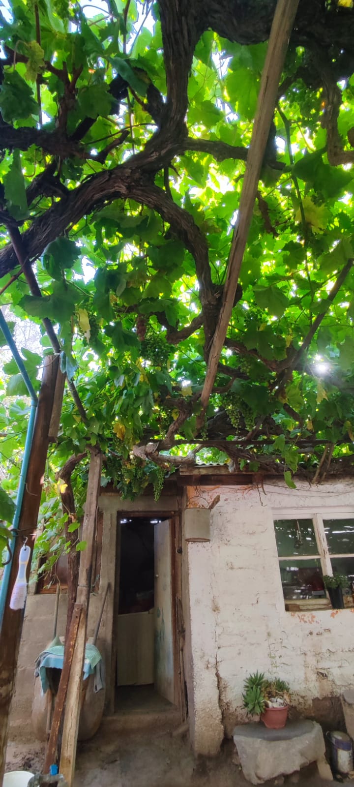 Casa en venta en Copiapó — foto 4