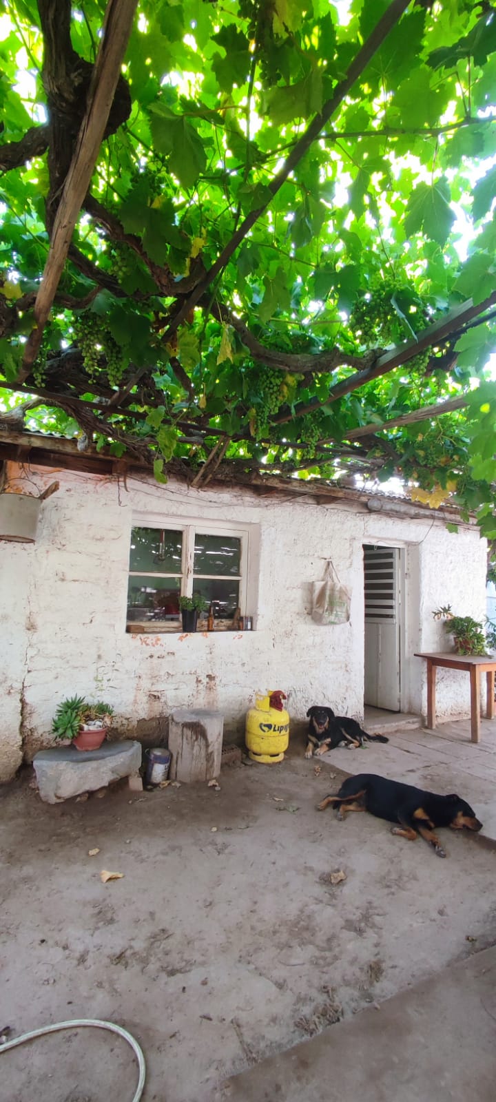 Casa en venta en Copiapó — foto 5