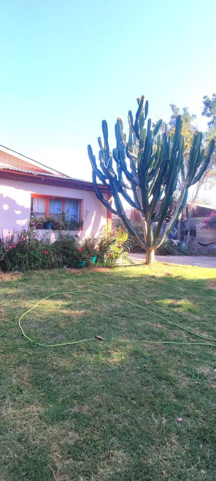 Casa en venta en Copiapó — foto 8