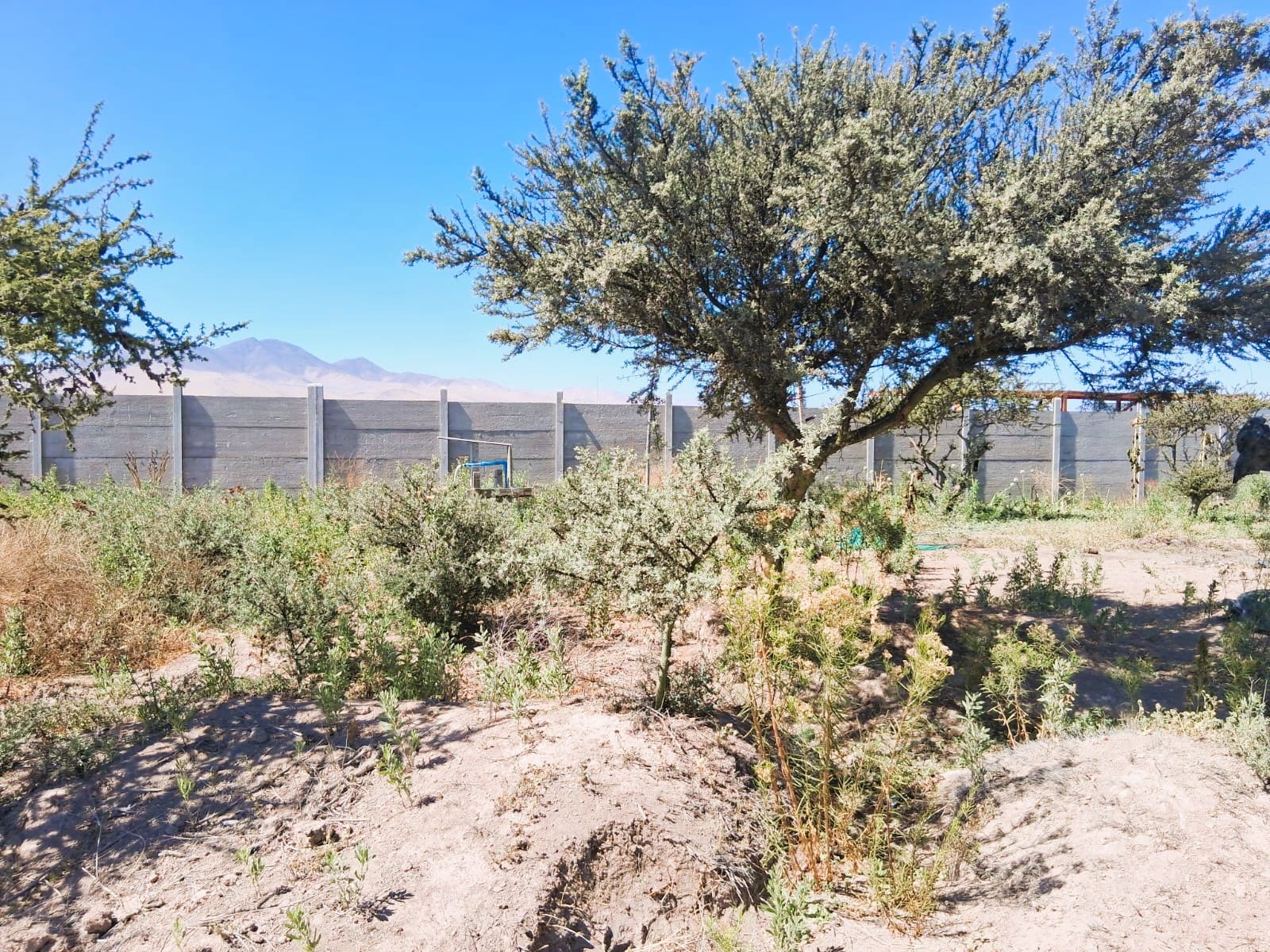 Parcela en venta en Copiapó — foto 5