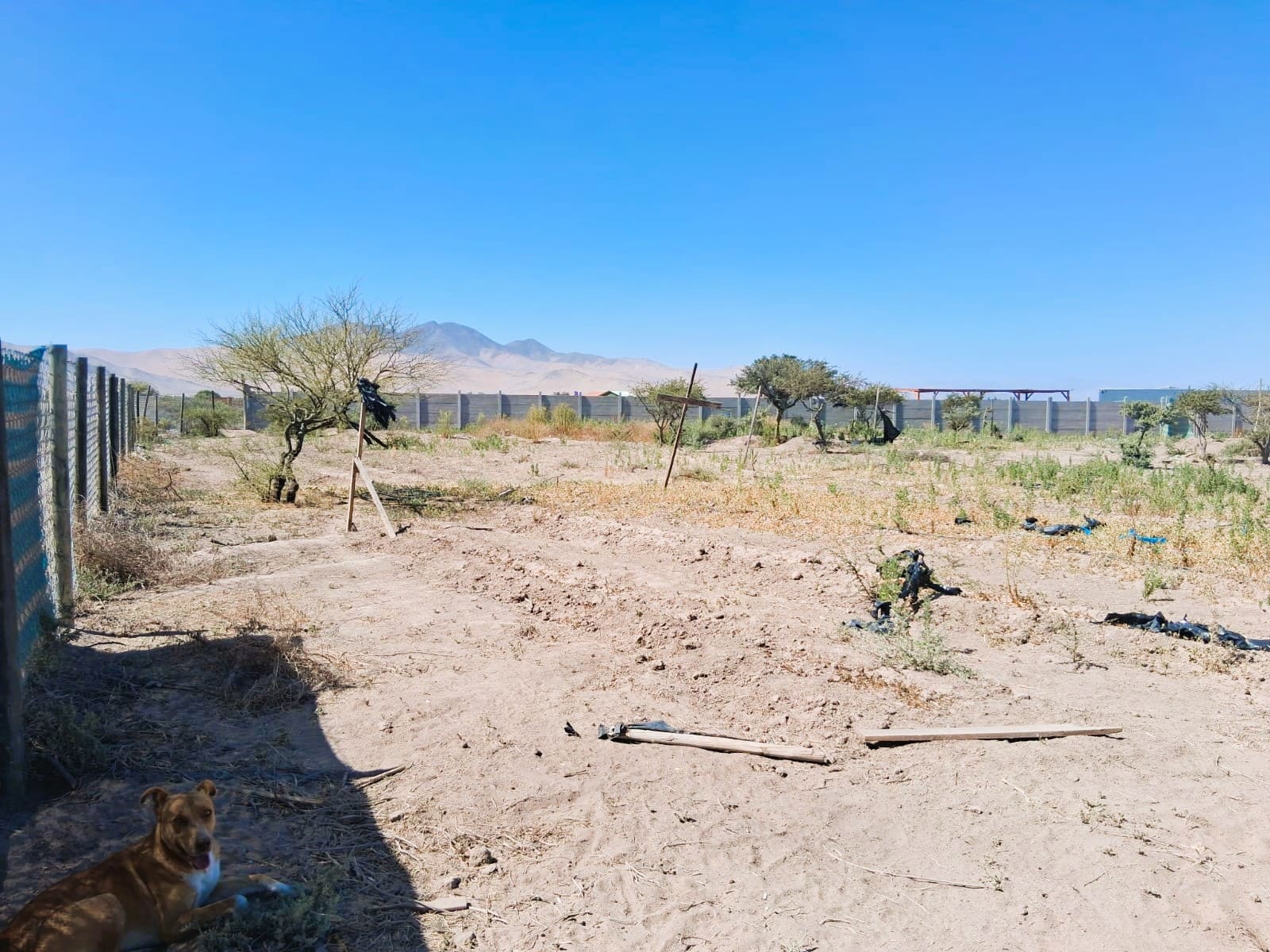 Parcela en venta en Copiapó — foto 6