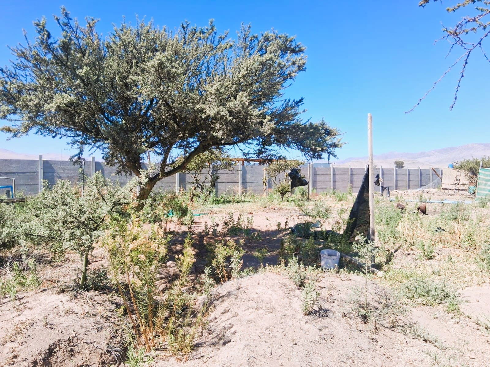 Parcela en venta en Copiapó — foto 7