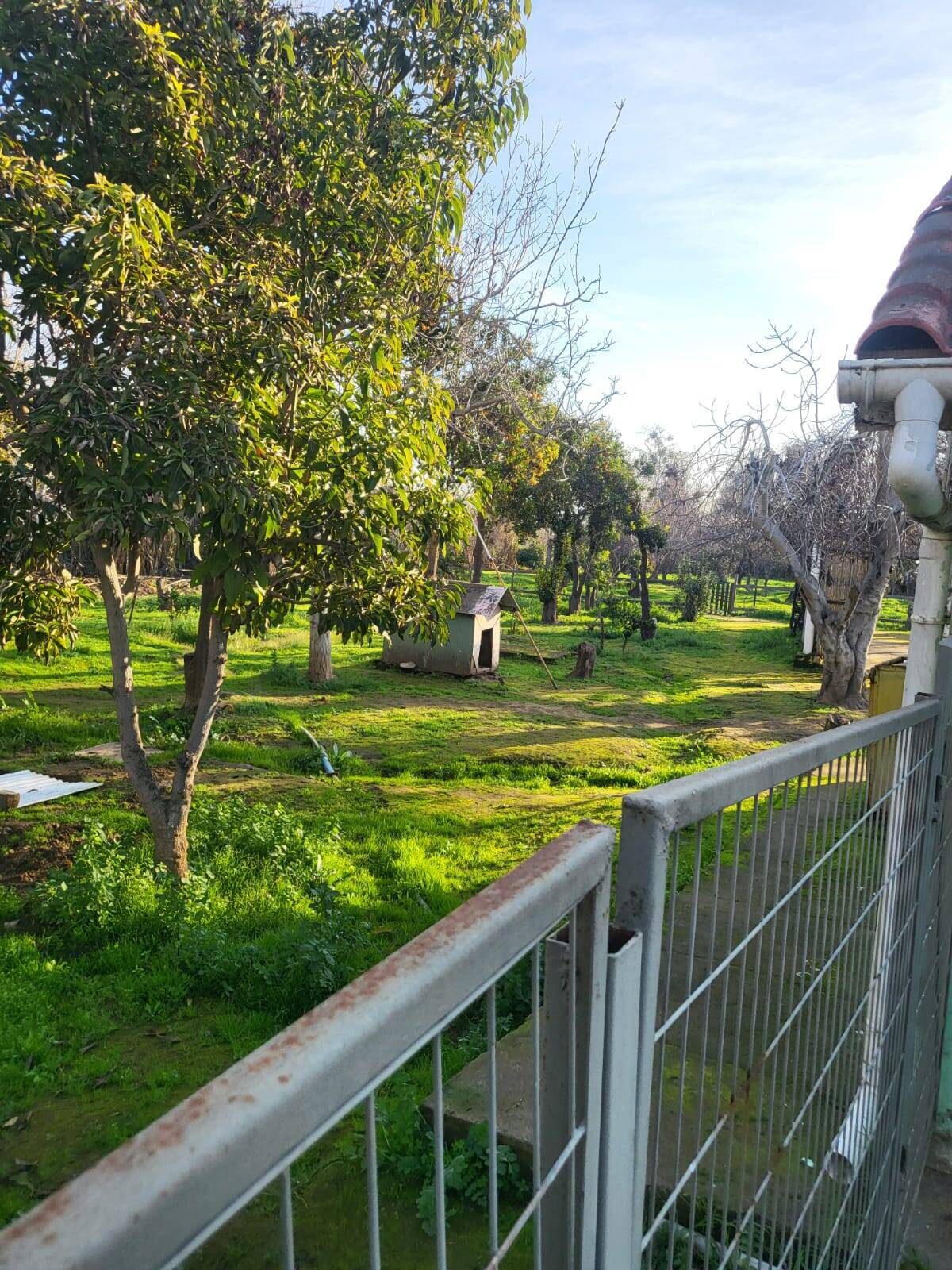 Casa en venta en Limache — foto 2