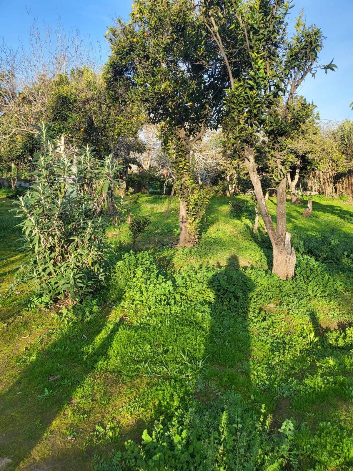 Casa en venta en Limache — foto 10