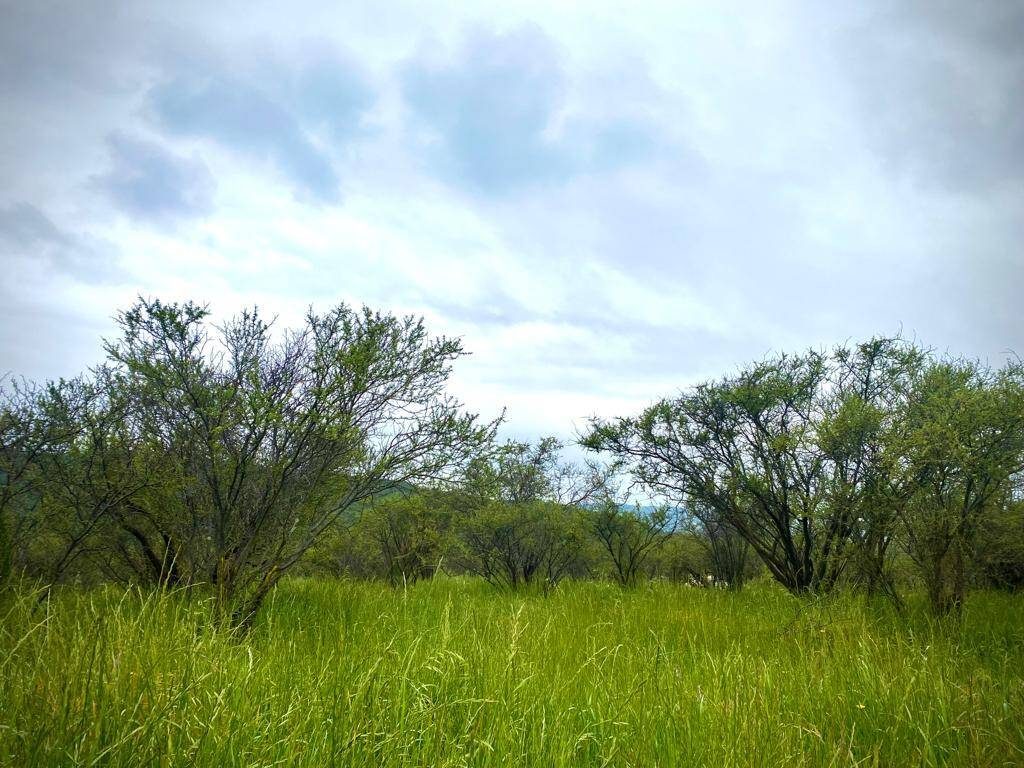 Parcela en venta en Limache — foto 1